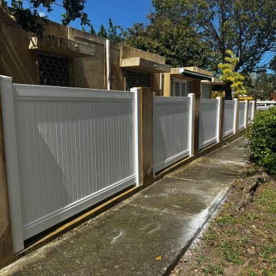 WhatsApp Image 2026-03-10 at 8.00.07 AM